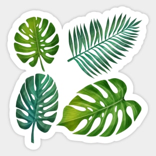 Tropical Leaves Sticker